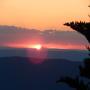 DSCN7563.JPG