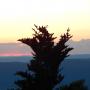 DSCN7589.JPG