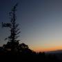 DSCN7603.JPG