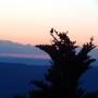 DSCN7607.JPG
