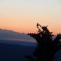 DSCN7608.JPG