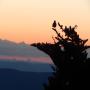 DSCN7609.JPG