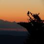 DSCN7610.JPG