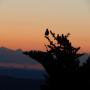 DSCN7611.JPG