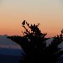 DSCN7612.JPG