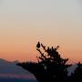 DSCN7613.JPG