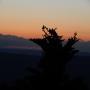 DSCN7615.JPG