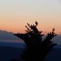 DSCN7617.JPG