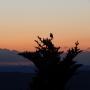 DSCN7618.JPG