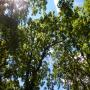 DSCN7707.JPG