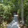 DSCN7708.JPG
