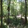 DSCN7709.JPG