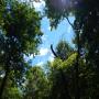 DSCN7710.JPG