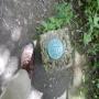 DSCN7711.JPG