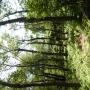 DSCN7712.JPG