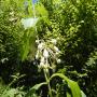 DSCN7717.JPG