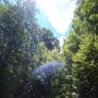 DSCN7718.JPG