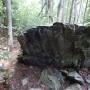 DSCN7736.JPG