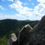 DSCN7753.JPG