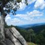 DSCN7754.JPG