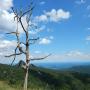 DSCN7755.JPG