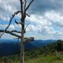 DSCN7756.JPG