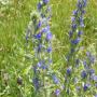 DSCN7758.JPG