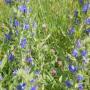 DSCN7759.JPG