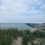 DSCN7767.JPG