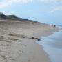 DSCN7780.JPG