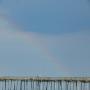 DSCN7788.JPG