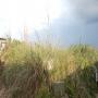 DSCN7806.JPG