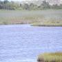 DSCN7854.JPG
