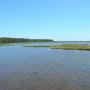 DSCN7856.JPG