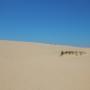 DSCN7873.JPG