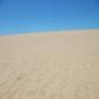 DSCN7875.JPG