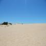 DSCN7878.JPG