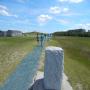 DSCN7924.JPG