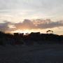 DSCN7949.JPG