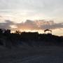 DSCN7950.JPG