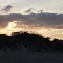 DSCN7971.JPG