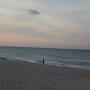 DSCN7983.JPG