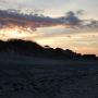 DSCN7988.JPG