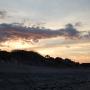 DSCN7989.JPG
