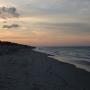 DSCN7990.JPG