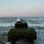 DSCN8019.JPG
